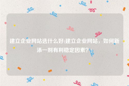 建立企业网站选什么好(建立企业网站，如何新添一剂有利稳定因素？)