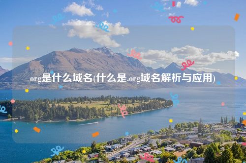 org是什么域名(什么是.org域名解析与应用)