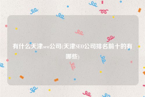 有什么天津seo公司(天津SEO公司排名前十的有哪些)