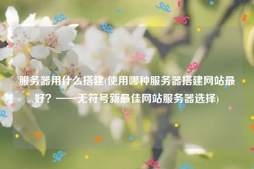 服务器用什么搭建(使用哪种服务器搭建网站最好？——无符号新最佳网站服务器选择)