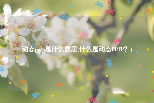 动态pptp是什么意思(什么是动态PPTP？)