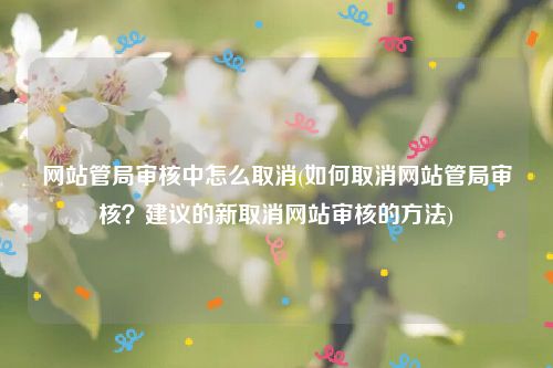 网站管局审核中怎么取消(如何取消网站管局审核？建议的新取消网站审核的方法)