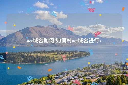 net域名如何(如何对net域名进行)