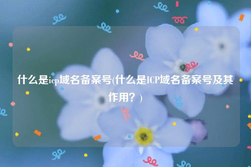 什么是icp域名备案号(什么是ICP域名备案号及其作用？)