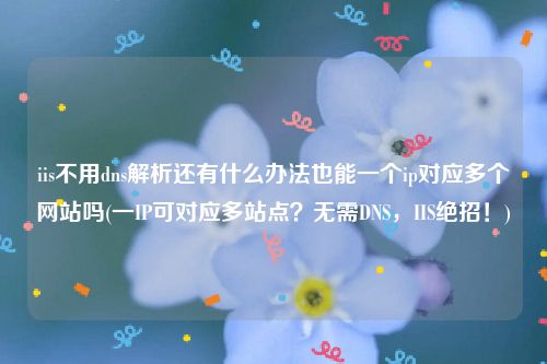 iis不用dns解析还有什么办法也能一个ip对应多个网站吗(一IP可对应多站点？无需DNS，IIS绝招！)
