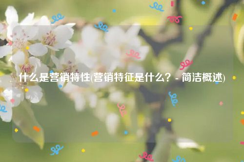 什么是营销特性(营销特征是什么？- 简洁概述)