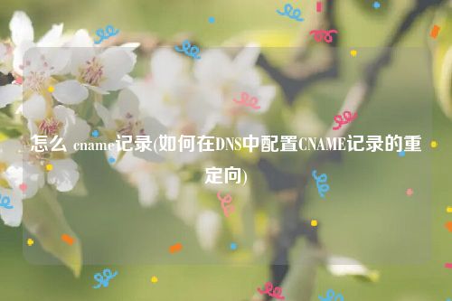 怎么 cname记录(如何在DNS中配置CNAME记录的重定向)