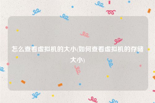 怎么查看虚拟机的大小(如何查看虚拟机的存储大小)