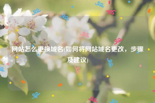 网站怎么更换域名(如何将网站域名更改，步骤及建议)