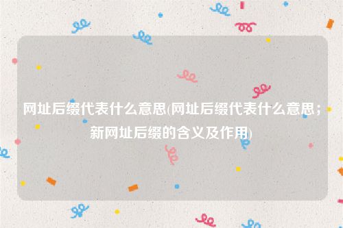网址后缀代表什么意思(网址后缀代表什么意思；新网址后缀的含义及作用)