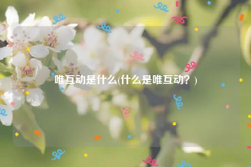 唯互动是什么(什么是唯互动？)