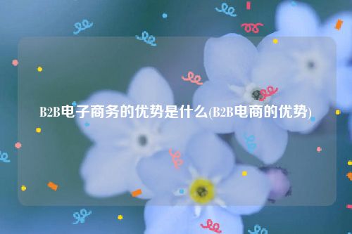 B2B电子商务的优势是什么(B2B电商的优势)