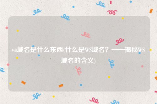 ws域名是什么东西(什么是WS域名？——揭秘WS域名的含义)