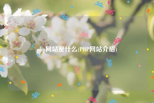 php网站是什么(PHP网站介绍)