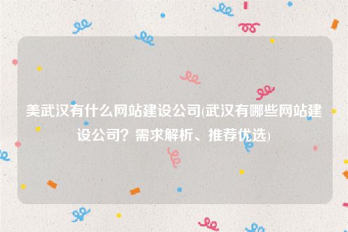美武汉有什么网站建设公司(武汉有哪些网站建设公司？需求解析、推荐优选)