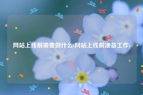 网站上线前需要做什么(网站上线前准备工作)