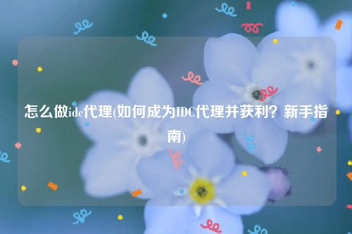 怎么做idc代理(如何成为IDC代理并获利？新手指南)